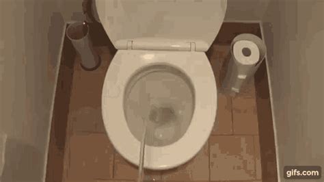 Relevance Anal Bathroom Gifs